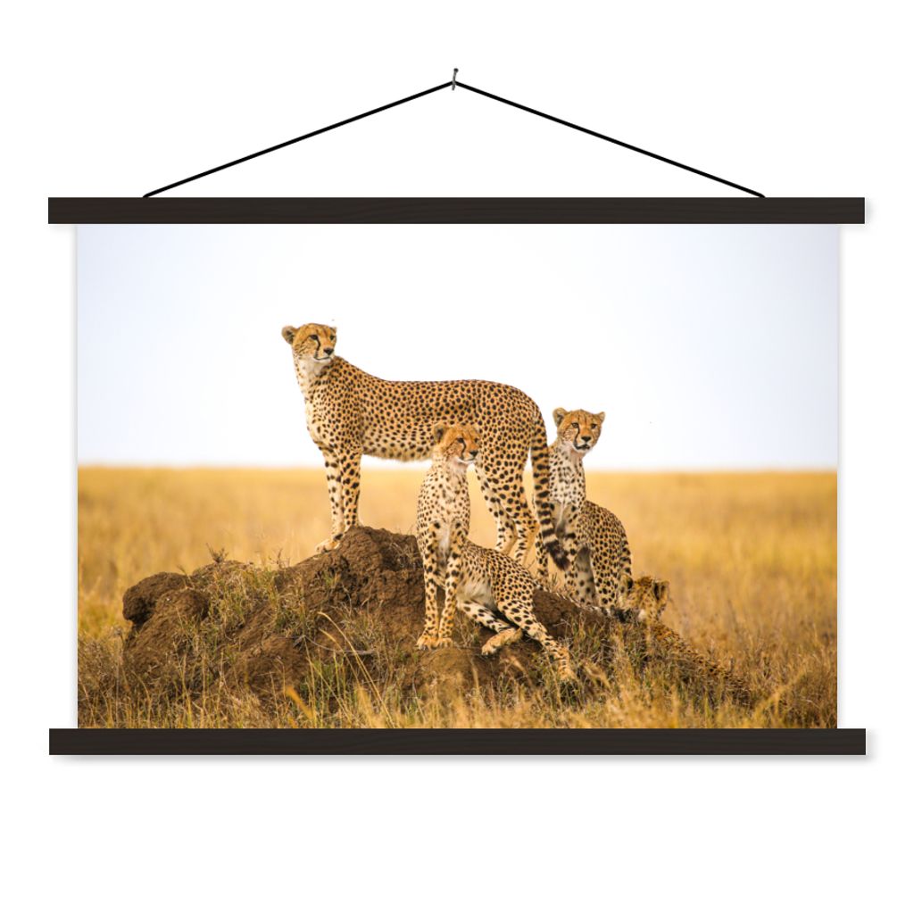 MuchoWow Textilposter Gepard - Gras - Natur - Savanne 90x60 cm mit schwarzem Rahmen - Aufhängungssatz