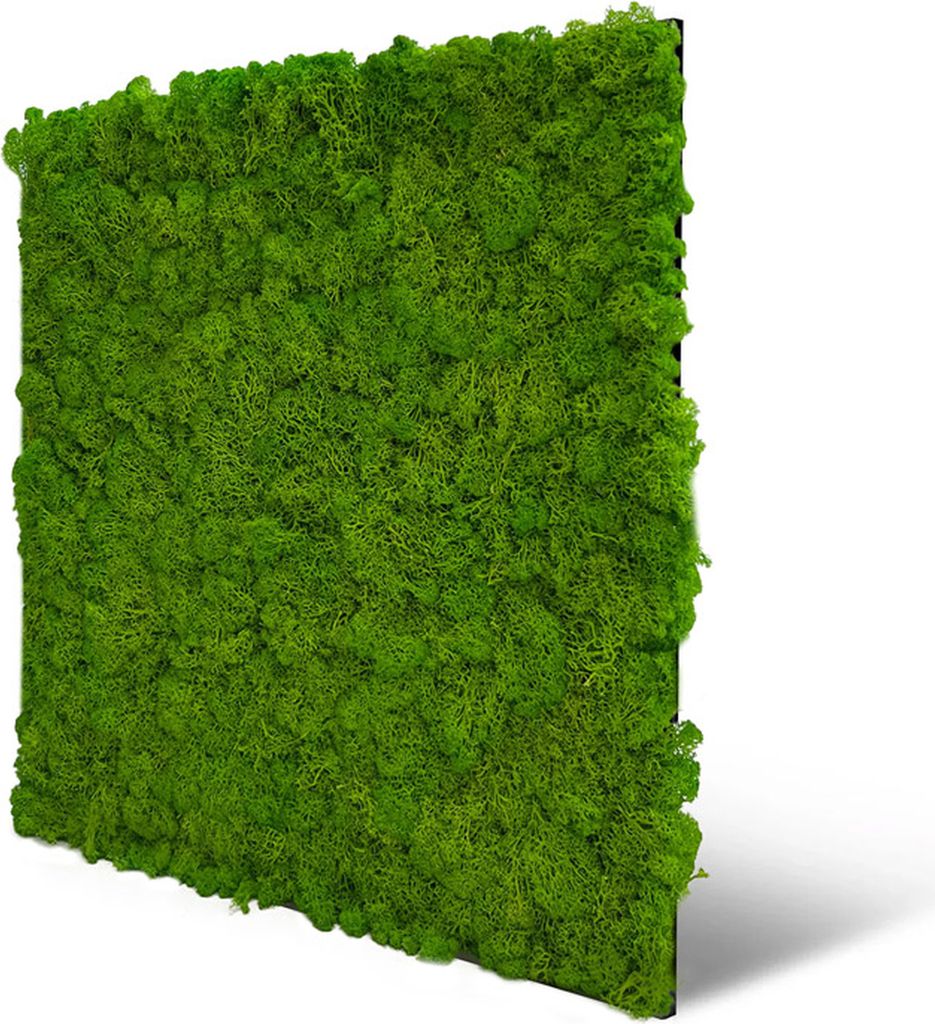 0,27m² 3d Paneele Moos Paneelen Mooswand Wandpaneele Deckenpaneele Schalldämmung PET Filz (11102 - Bright Green)