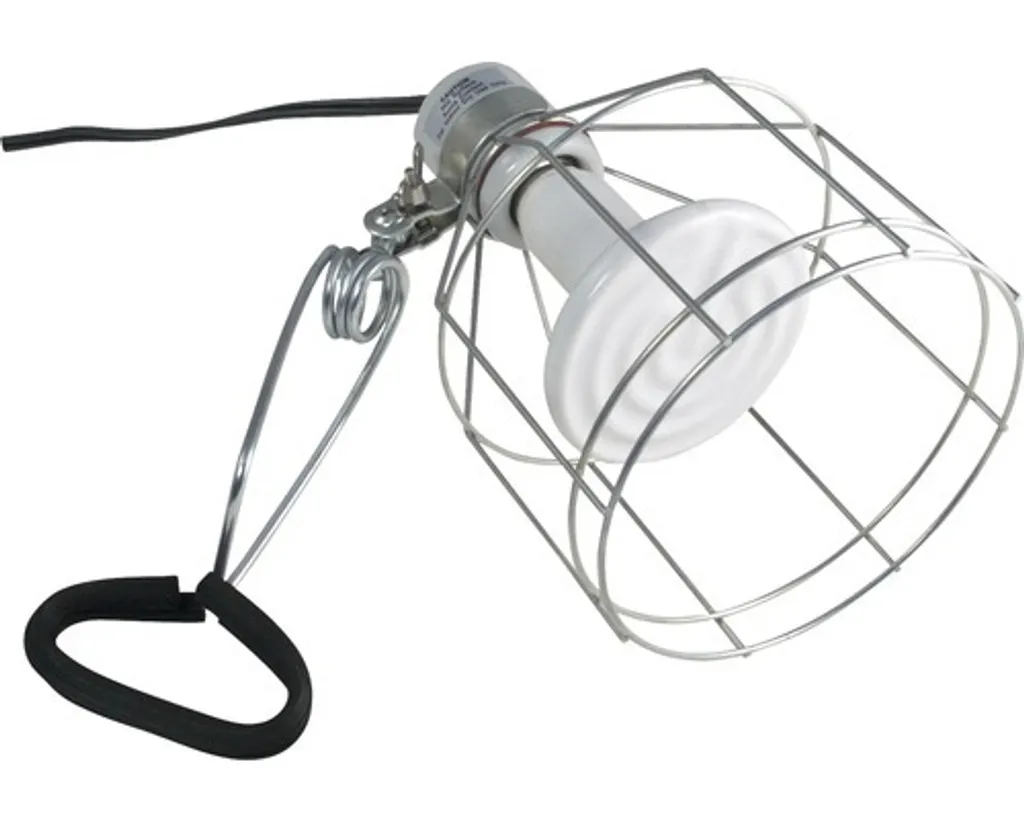 Sécurisez l'éclairage de votre terrarium avec la lampe à pince Zoo Med Repti