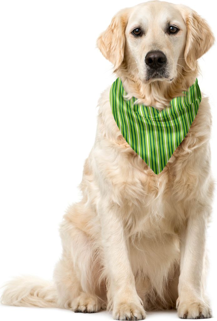 ABAKUHAUS Geometrisch Haustier Bandana, Irish gestreiftes Muster, 55x55 cm, Lime Green Dark Green
