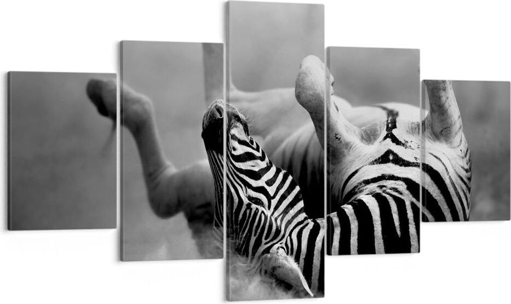 Bild auf Leinwand - Leinwandbild - Zebra Streifen Tier wild - 125x70cm - Wand Bild - Wanddeko - Leinwanddruck - Bilder - Kunstdruck - Wanddekoratio...
