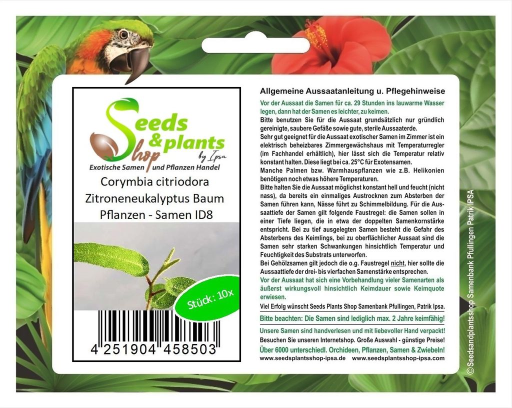 10x Corymbia citriodora Zitroneneukalyptus Baum Pflanzen - Samen ID8