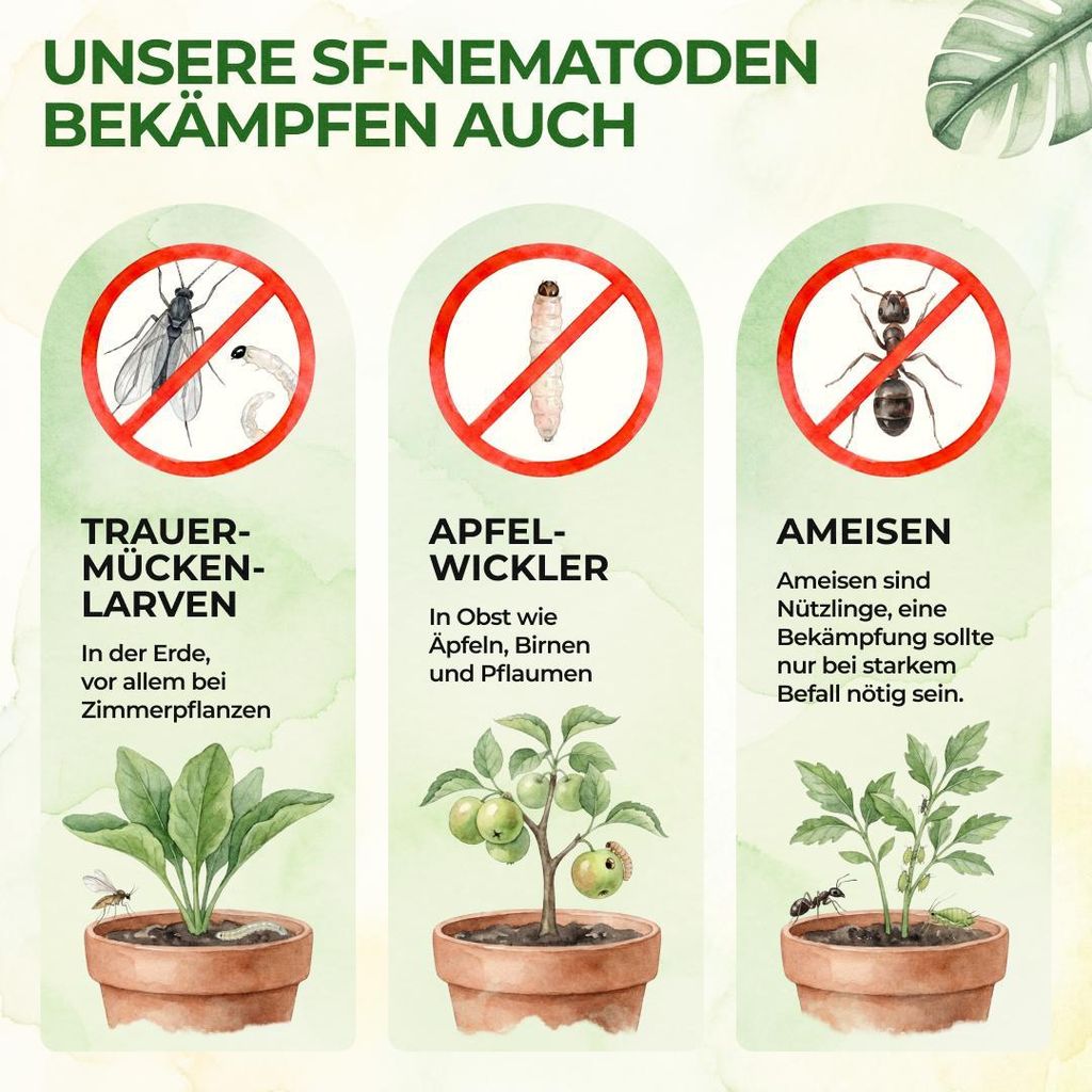 große künstliche zimmerpflanzen Ficus Schirmbaum Kunstpflanze 125cm Deko pflegeleicht kaufen main image 0