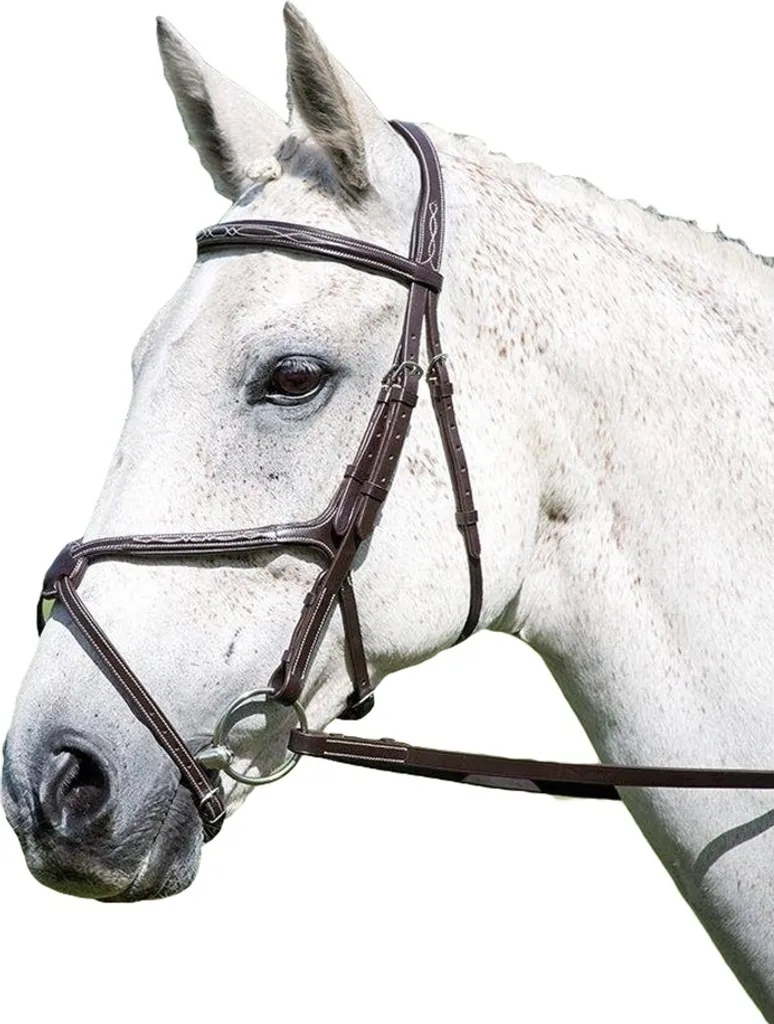 Shires Avignon Griglia Messicana ER507 - Pelle Marrone Pony