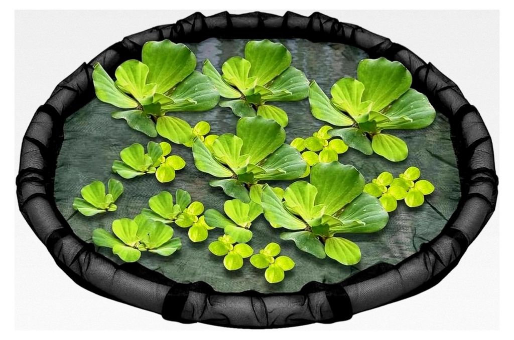 80 cm Schwimmende Pflanzenbarriere – Pflanzenschutz auf Inselbasis | Rundes Aquariumzaunnetz für Teichflora und Fischbarriere | Feinmaschiges Te...