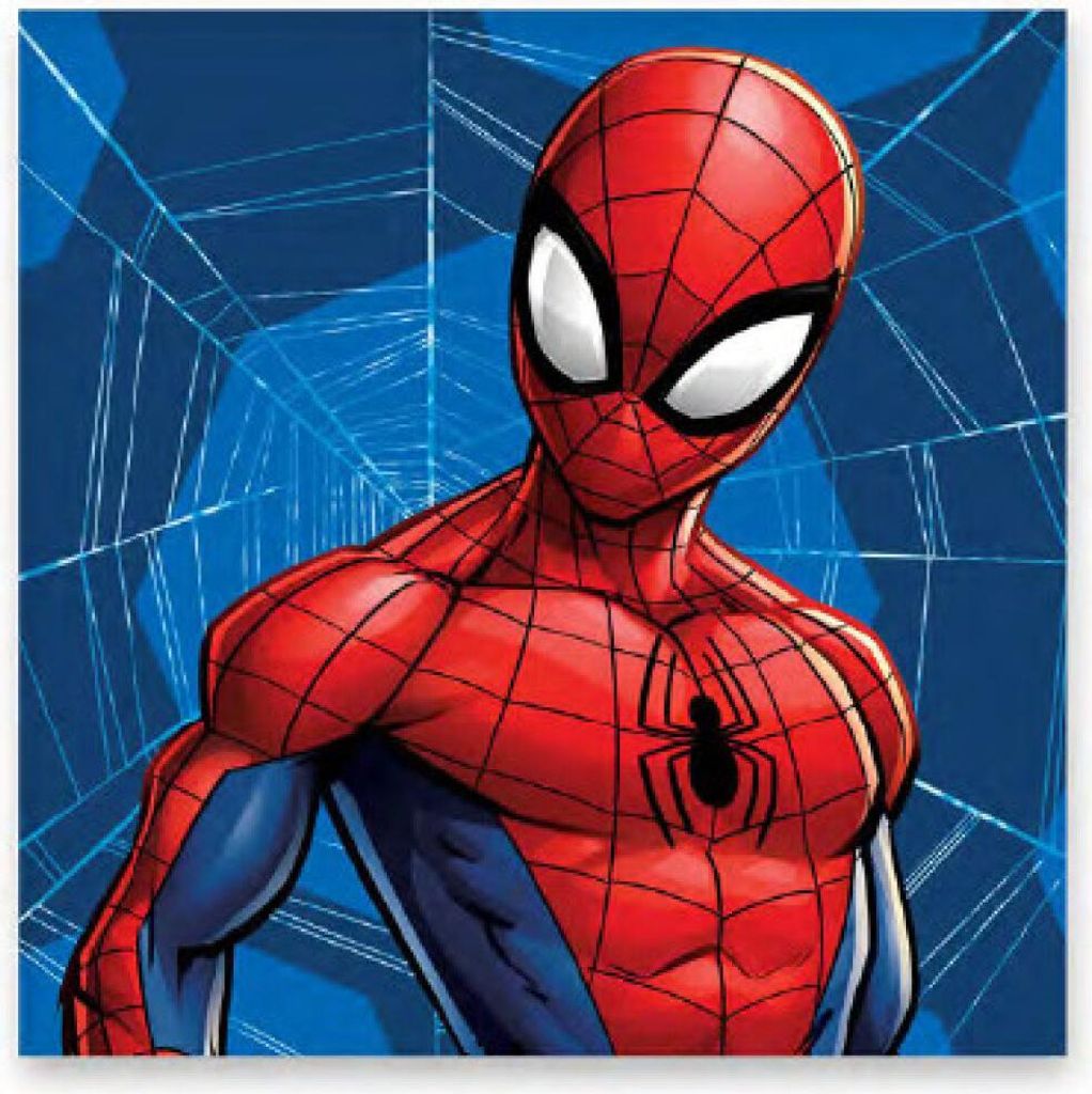 Spiderman handdoek, gezichtsdraad, handdoek 30x30 cm Productafbeelding 