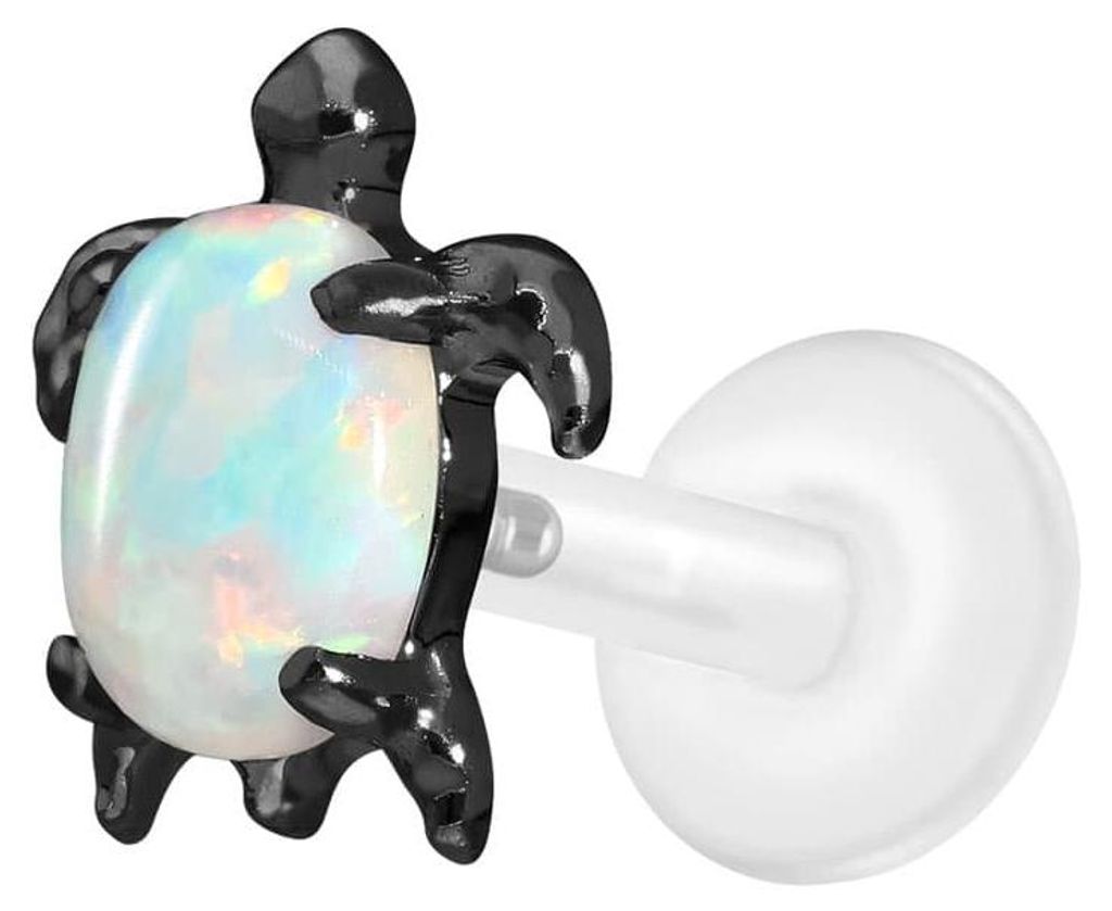 Ohrpiercing, Nasenpiercing PTFE Labret mit Innengewinde + Titan-Aufsatz SCHILDKRÖTE Schwarz Stablänge: 7mm | Stabstärke: 1,2mm