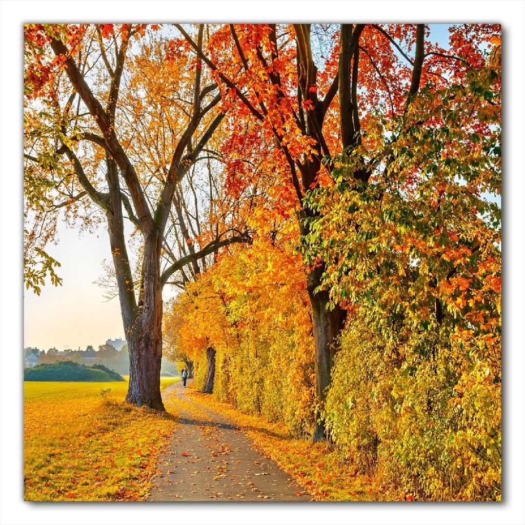 Wallario selbstklebende Möbelfolie/ Tischdecke für Innen und Außen, Größe: 100 x 100 cm - Herbstlicher Waldweg mit buntem Laub