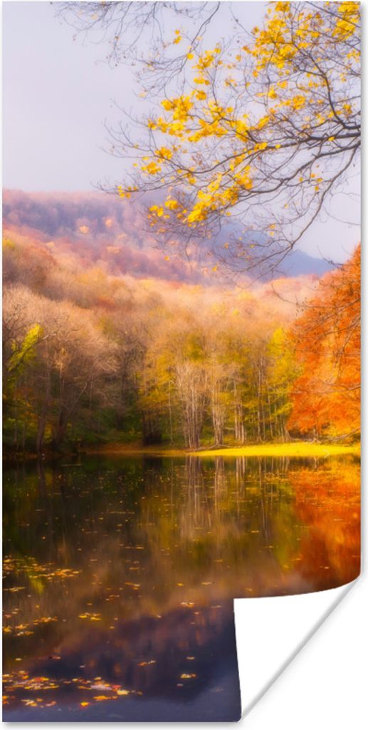 MuchoWow Poster Natur - Wald - Herbst 60x120 cm - Wandschmuck