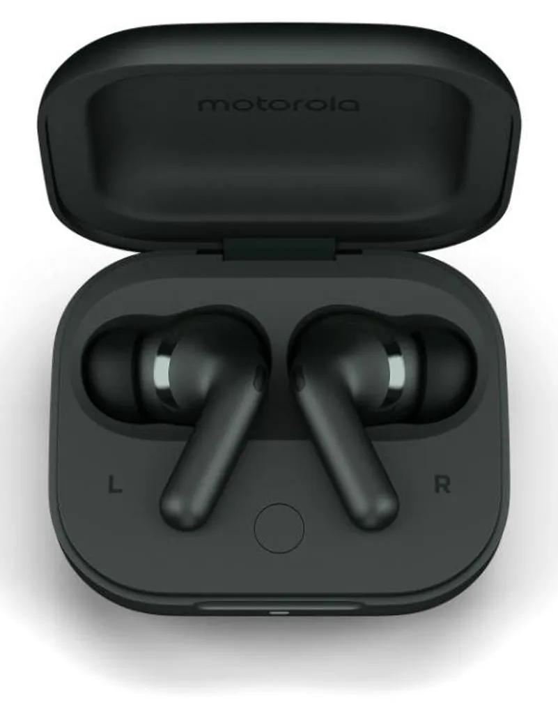 Moto Buds+ Motorola Gris Forêt - Réduction de Bruit Active et Son Bose