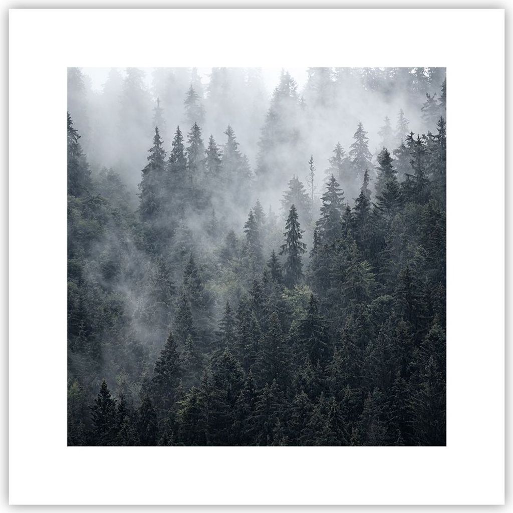 Poster - Poster ohne Rahmen - Wald Baum Natur - 30x30 cm - Wand Bild - Wanddeko - Wandbilder - Kunstposter - Wandposter - Bilder - Kunstdruck - Wan...