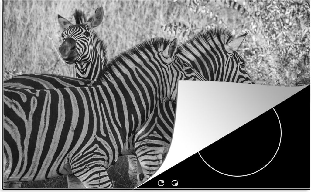 KitchenYeah Herdabdeckplatte Drei grasende Zebras , 80x52cm, Küche Deko, Glaskeramikkochfeld Herdabdeckung, Abdeckplatte fùr Kochfeld