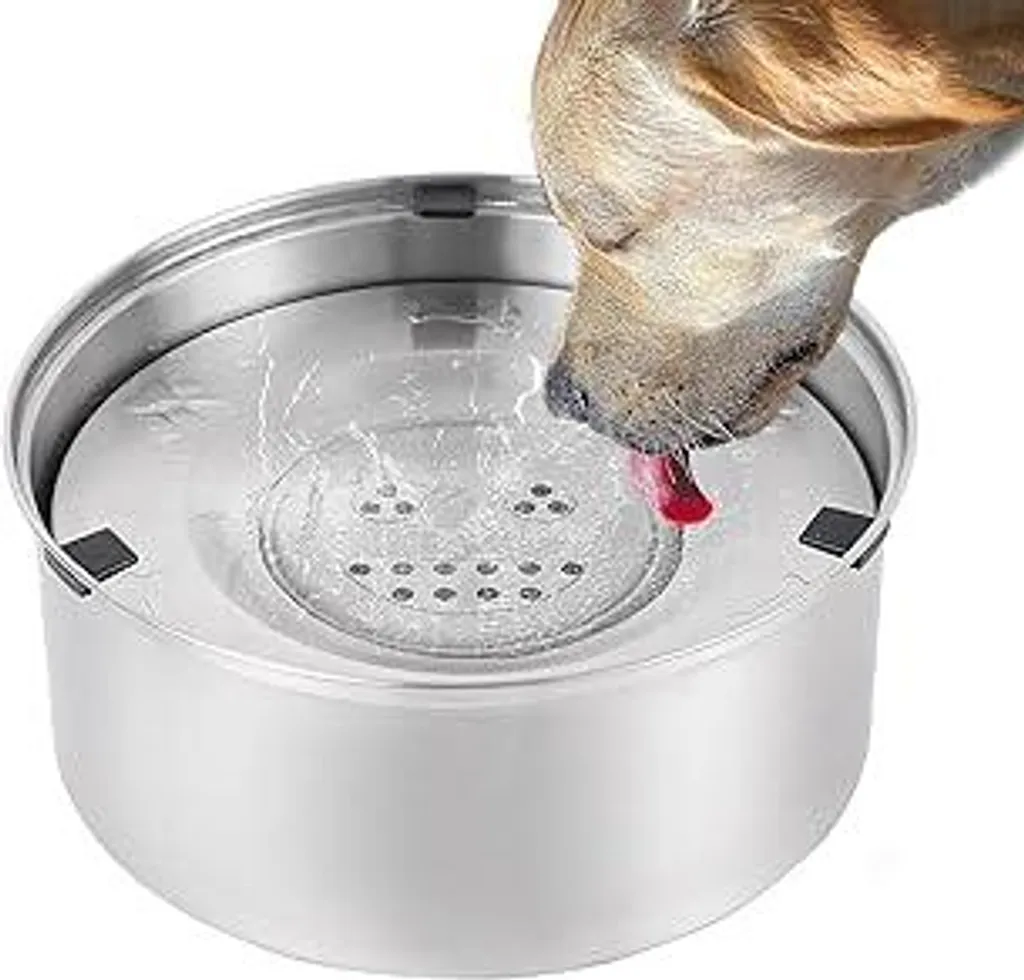 Ciotola Galleggiante Cani Acciaio Inox 1L: Igiene e Slow Drinking