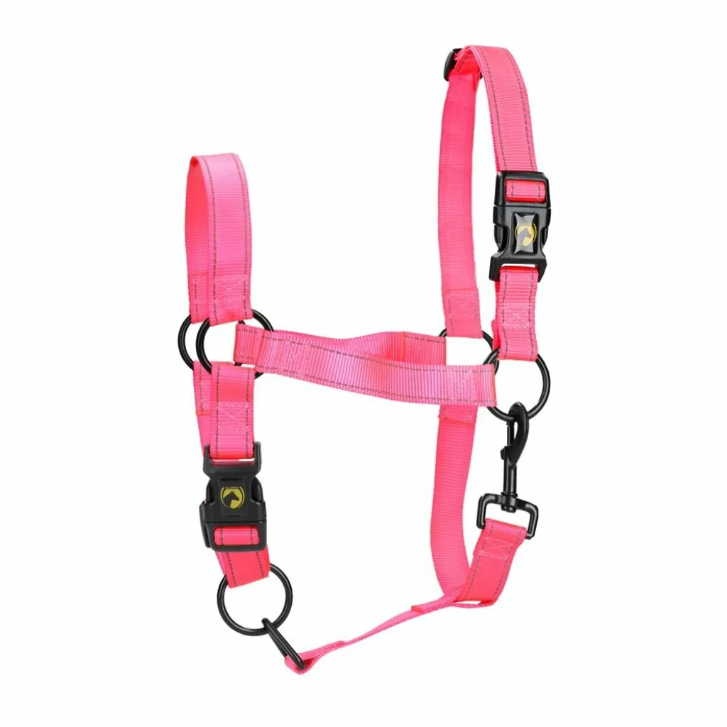 Excellent Horse Premium Rosa S: Eleganza e Comfort in Scuderia