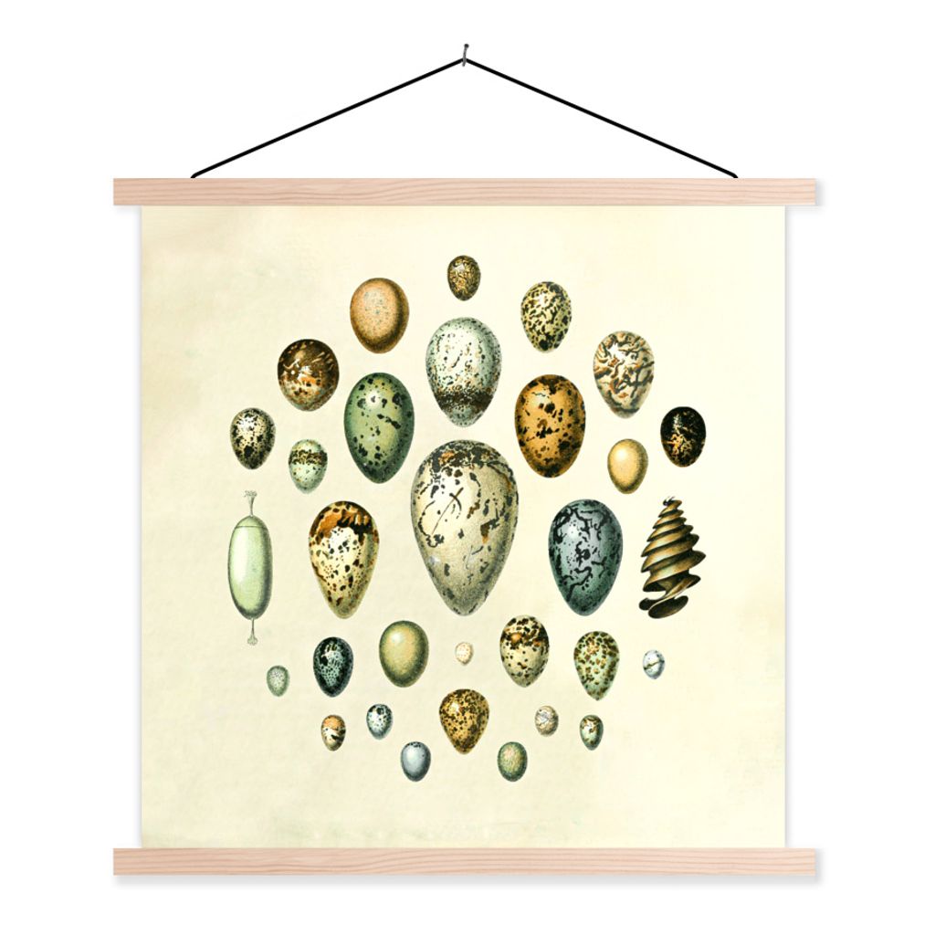 MuchoWow Textilposter Ei - Tiere - Gestaltung 60x60 cm mit holzfarbenen Rahmen - Wanddekoration