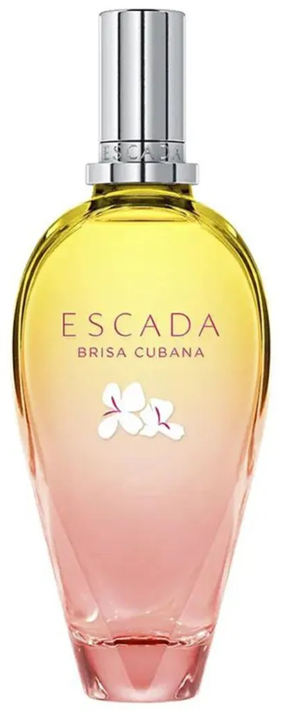 Brisa Cubana 100ml - Eau de Toilette Vaporisateur Longue Tenue Frais