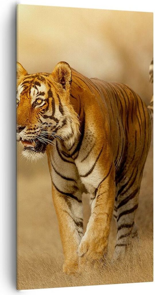 Bild auf Leinwand - Leinwandbild - tiger tier - 65x120cm - Wand Bild - Wanddeko - Wandbilder - Leinwanddruck - Bilder - Kunstdruck - Wanddekoration...