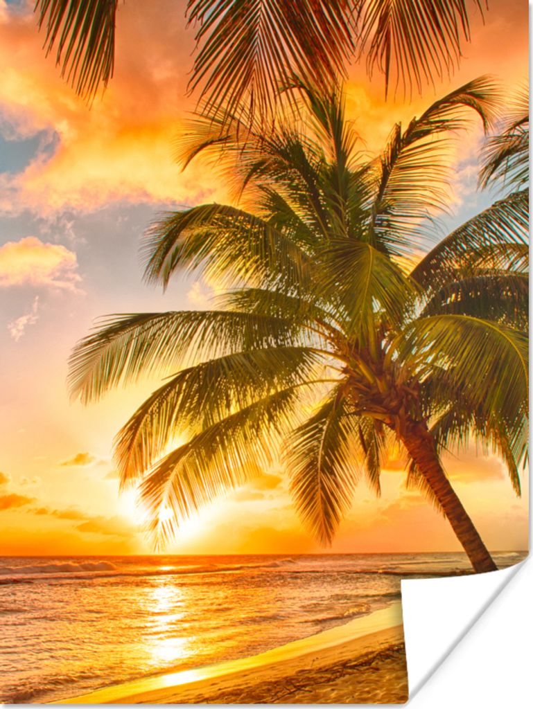 MuchoWow Poster Sonnenuntergang - Palme - Wolken - Meer - Strand 30x40 cm - Wandplakat - Poster Kinderzimmer