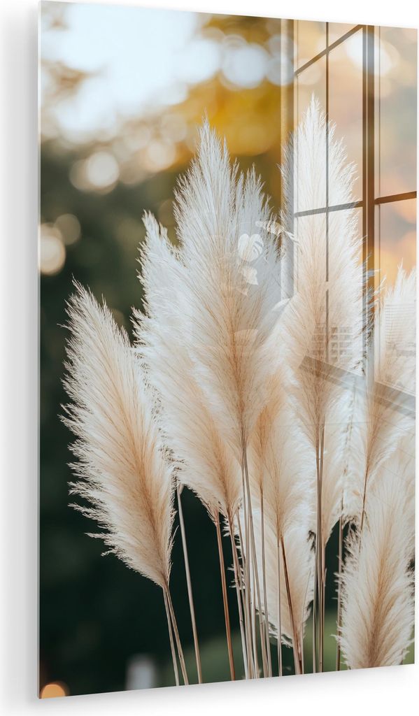 MuchoWow Glasbilder - Bilder auf Wandbild - Foto auf Glas Pampasgras - Federn - Zierpflanze 60x90 cm Wanddekoration aus Glas - Acrylglasbild - Acry...