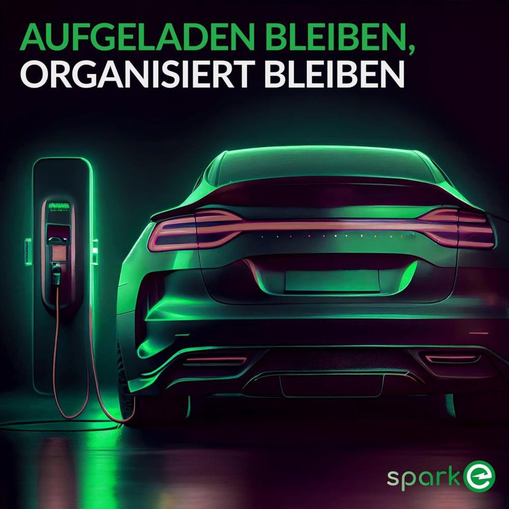 spark-e EV-Ladekabel Halterung - Typ 2 - Silber - Typ 2 - Silber