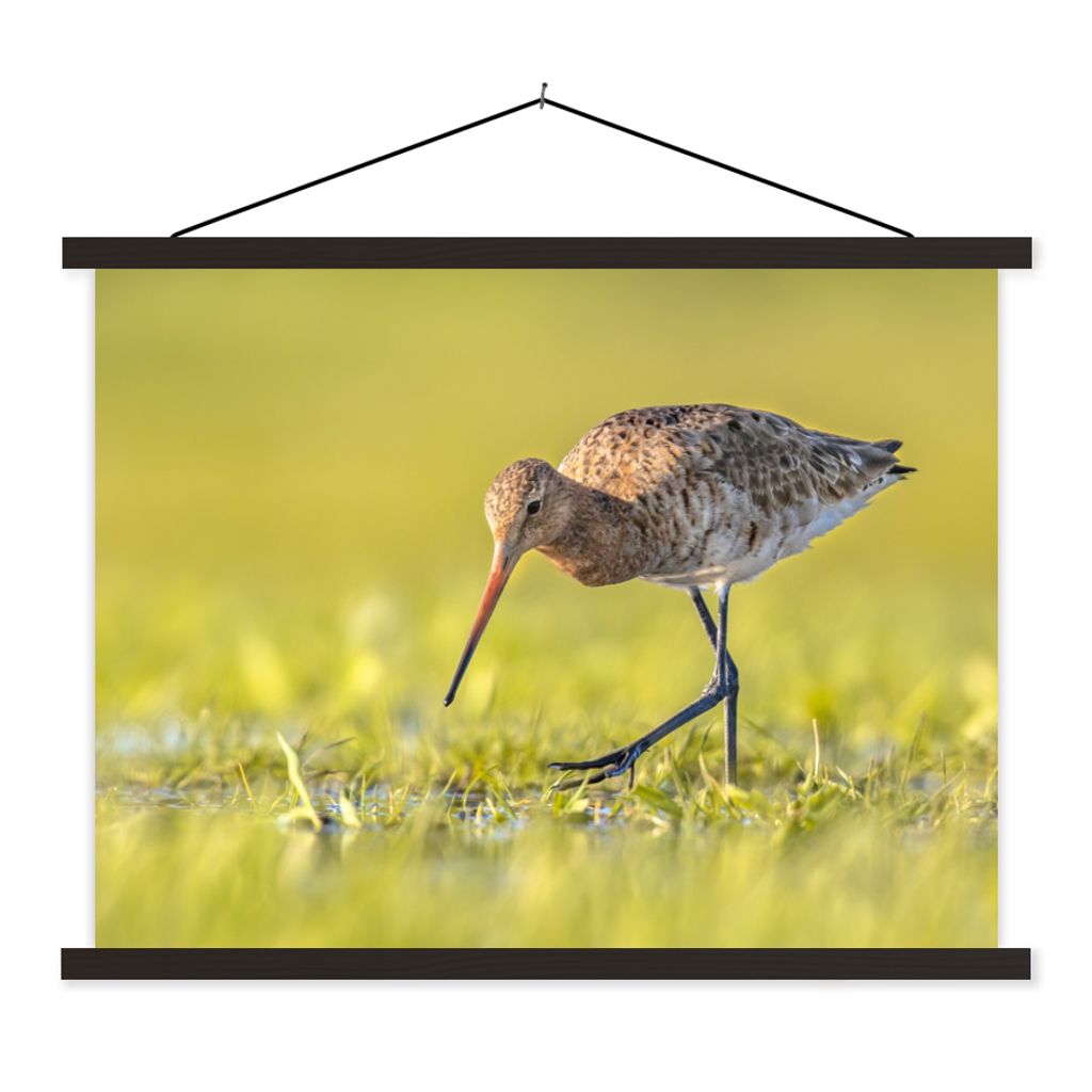 MuchoWow Textilposter Vögel - Gras - Landschaft - Uferschnepfe 120x90 cm mit schwarzem Rahmen - Aufhänger für Poster