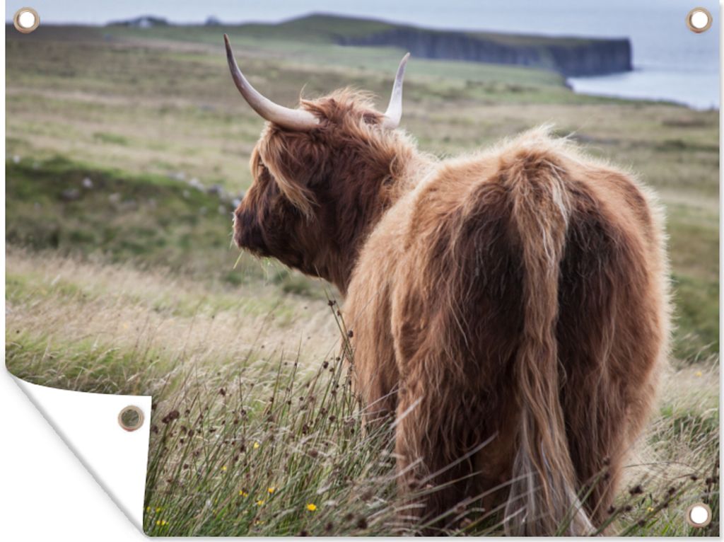 MuchoWow 80x60 cm Outdoor-Poster Gartendeko Sichtschutz Garten Poster für den Garten Schottische Highlander - Natur - Meer