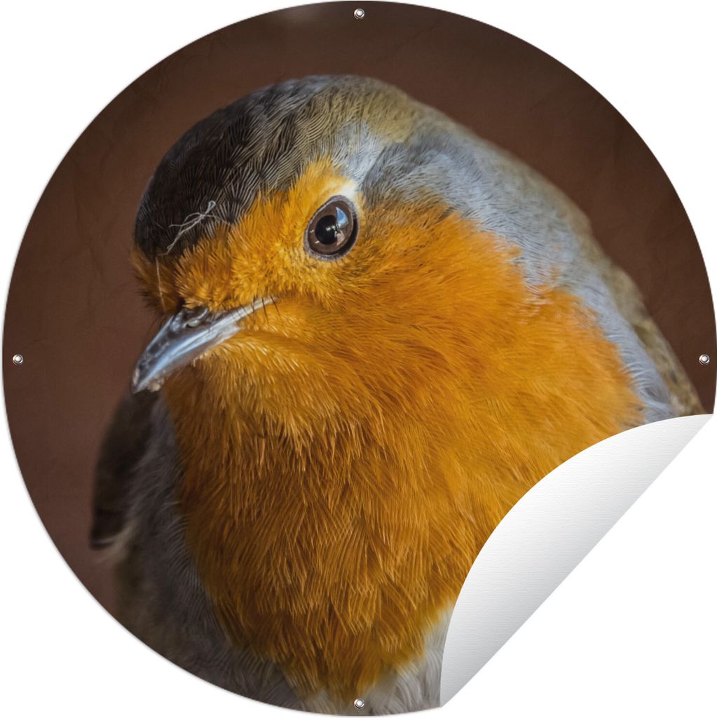 MuchoWow Gartenposter Outdoor-Poster Rund Rotkehlchen - Porträt - Vogel Ø 90 cm Gartendeko Rundes Poster draußen