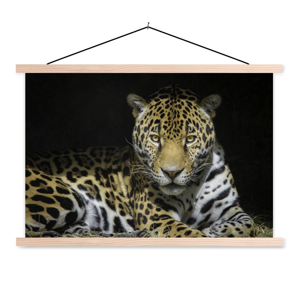 MuchoWow Textilposter Jaguar - Sonne - Höhle 120x80 cm mit holzfarbenen Rahmen - Aufhängeset