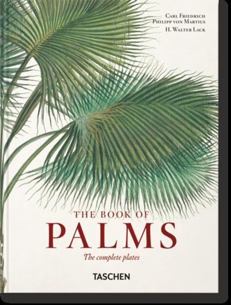 Martius. El libro de las palmeras. 45th Ed.