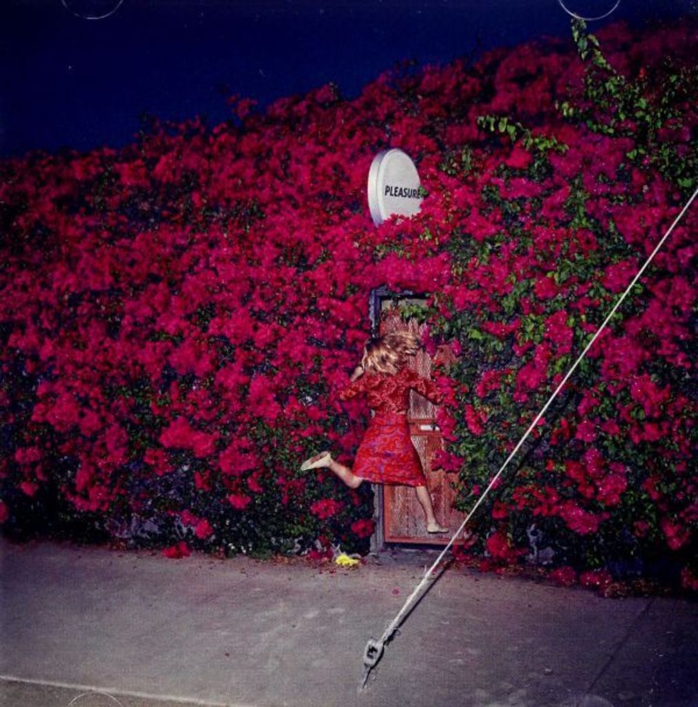 Feist: Pleasure (PL)