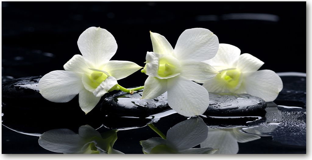 Tulup Glas-Bild - 100x50 -Wandkunst - Wandbild hinter gehärtetem Sicherheitsglas - Blumen & Pflanzen - Orchidee - Weiß