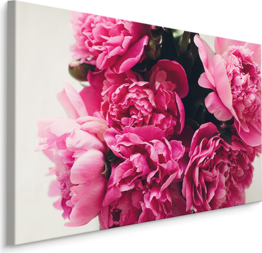Fabelhafte Canvas LEINWAND BILDER 100x70 cm XXL Kunstdruck Pfingstrosen Blumen Natur