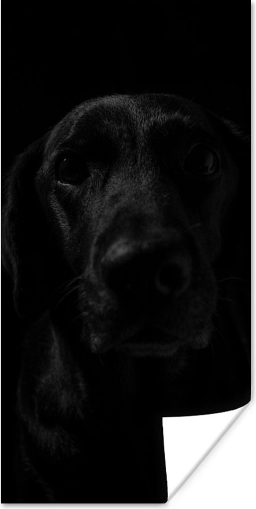 MuchoWow Poster Hund - Haustier - Schwarz 20x40 cm - Plakat - Foto
