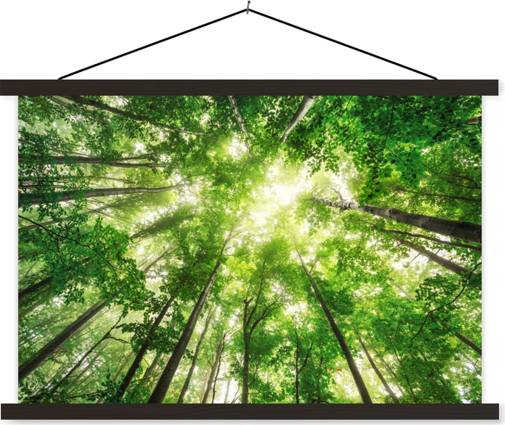 MuchoWow Textilposter Wald - Sonne - Baum 60x40 cm mit schwarzem Rahmen - Hölzernes