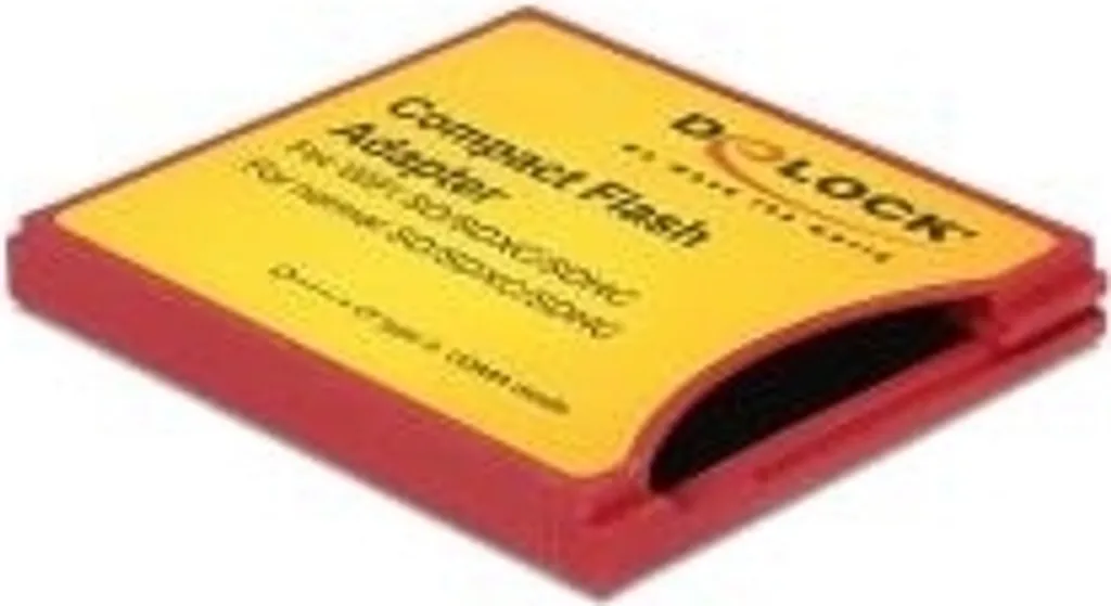 Adaptateur Compact Flash vers SDHC Delock avec Slot Type II Robuste