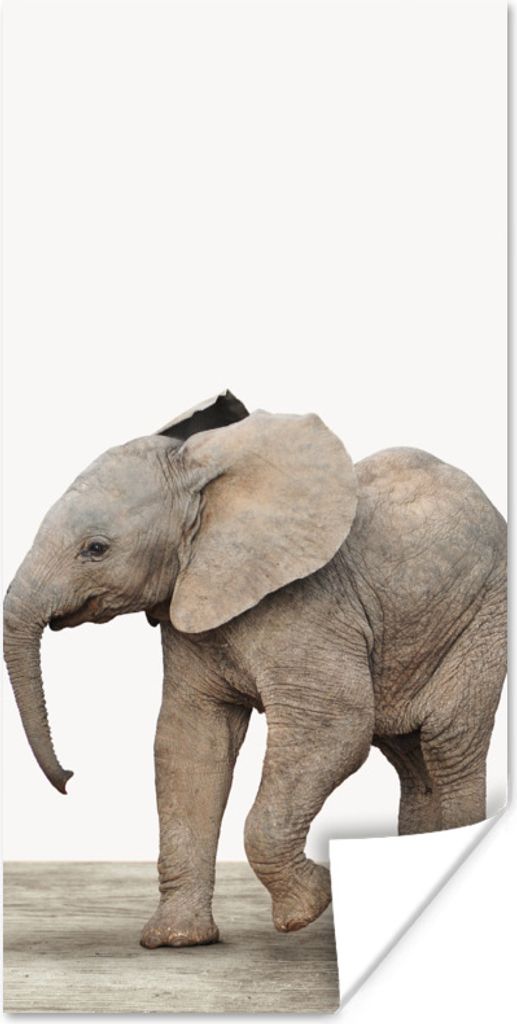 MuchoWow Poster Baby-Elefant - Tiere - Kinder - Mädchen - Jungen 80x160 cm - Kinderzimmer