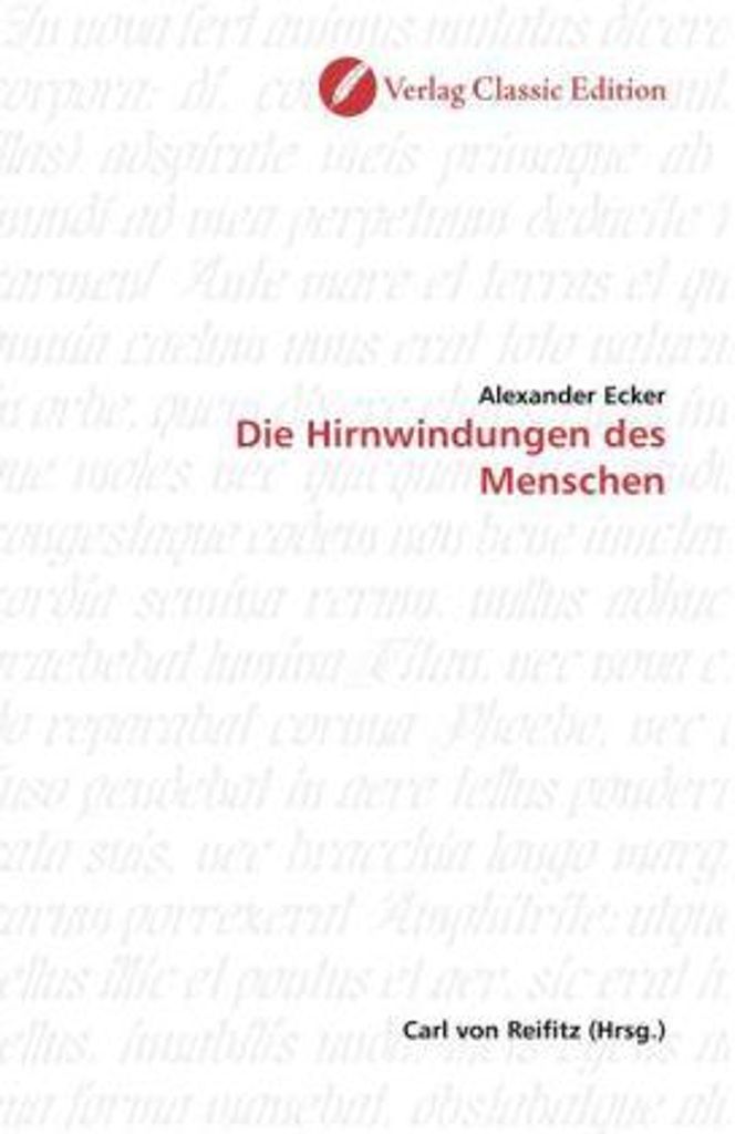 Die Hirnwindungen des Menschen