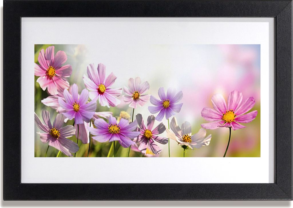 Bild 30x20 MDF-Rahmen Wandkunst Blumen Pflanzen Natur