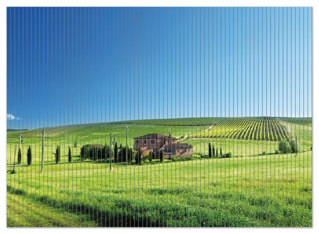 Wallario Duschmatte Antirutschmatte Badmatte Fußmatte Farm in der Toskana, Größe ca. 90 x 65 cm