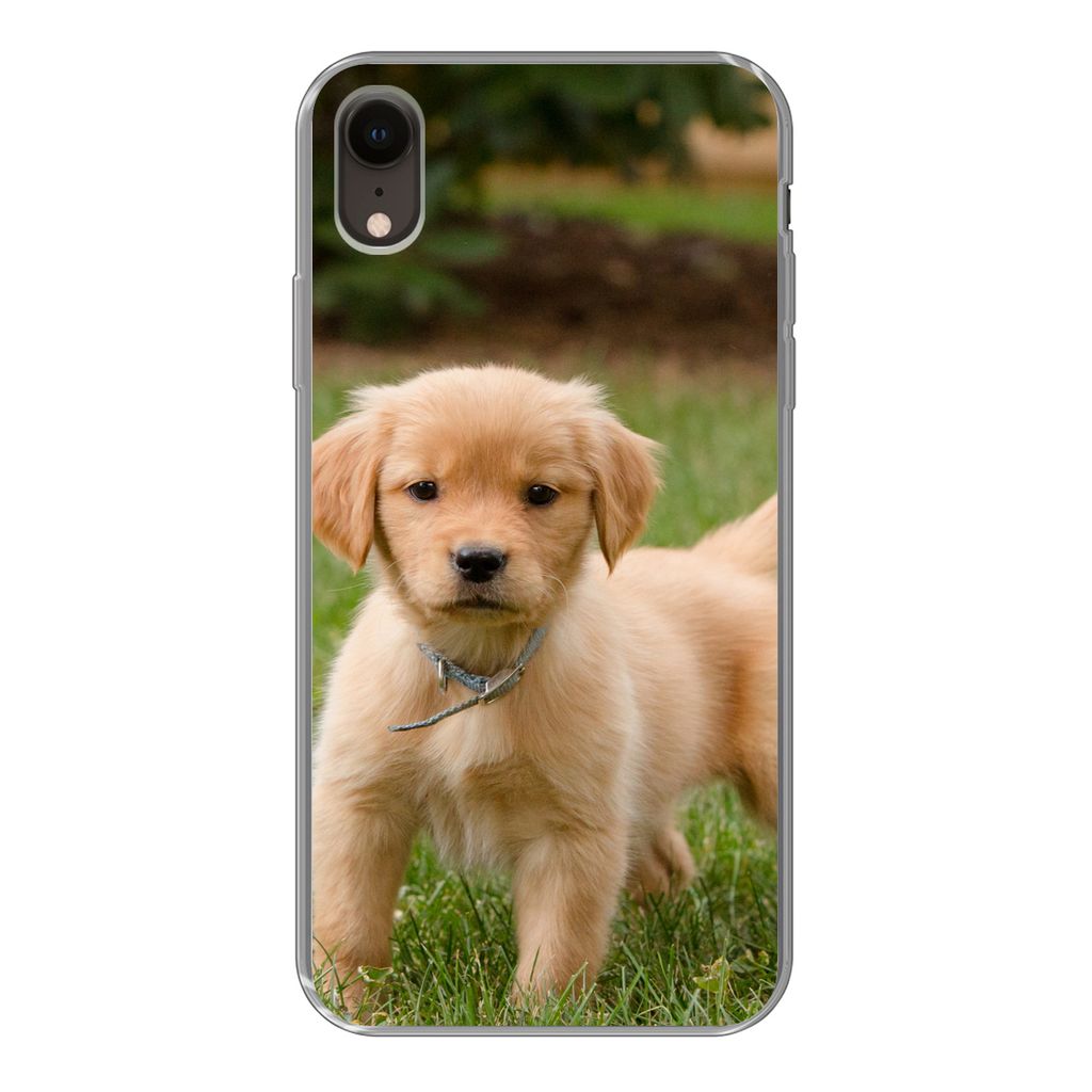 MuchoWow Handyhülle Schutzhülle Hülle für iPhone XR Golden Retriever Welpe im grünen Gras Silikon Softcase Handy Hülle - Schutzdeckel