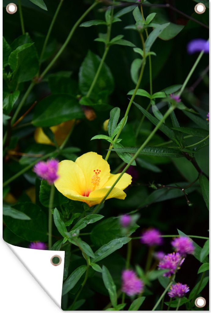 MuchoWow 40x60 cm Outdoor-Poster Gartendeko Sichtschutz Garten Poster für den Garten Teunis Blüte zwischen den Grünpflanzen
