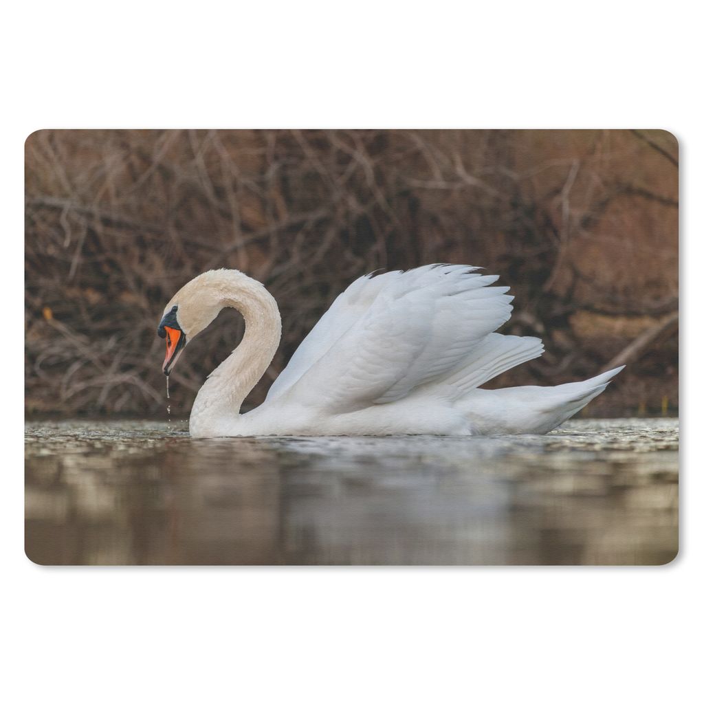 MuchoWow Schreibtischunterlage Schwan - Wasser - Tiere - Vogel 60x40 cm - XXL Mauspad - Großes Mauspad