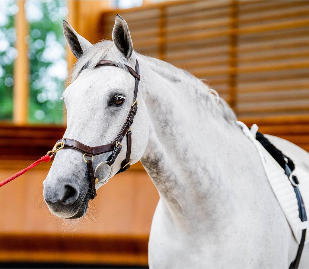 Uzdečka Horseware Micklem II Multi, velikost:Thoroughbred, Obrázek produktu 9