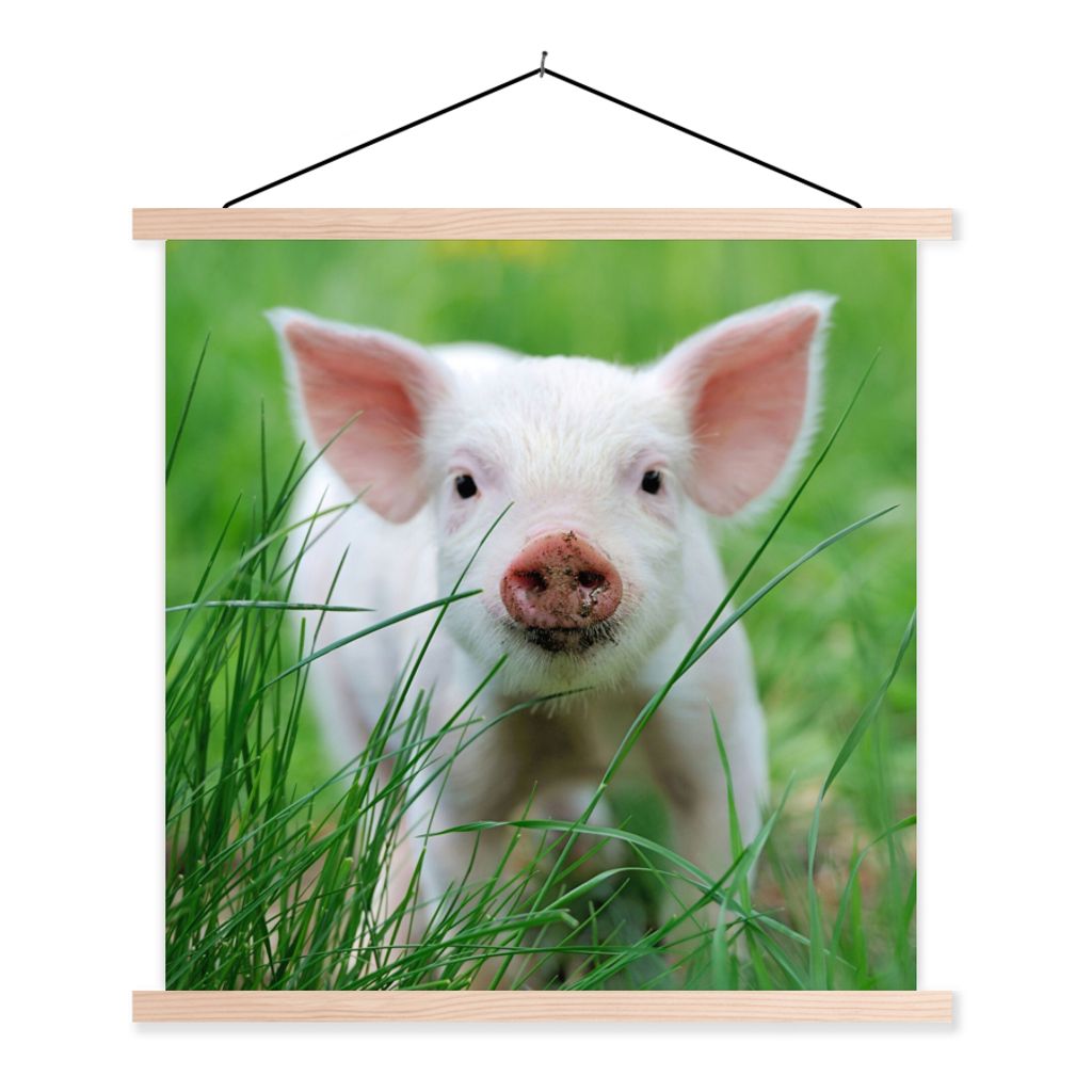 MuchoWow Textilposter Schwein - Tiere - Groß 60x60 cm mit holzfarbenen Rahmen - Wanddekoration