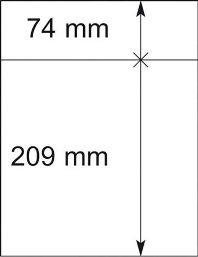 Lindner 802214P T-Blanko-Blätter - 10er-Packung