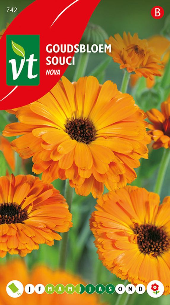 Semená nechtíka lekárskeho Nova - Približne. 1,25 gr | Obrázok produktu 