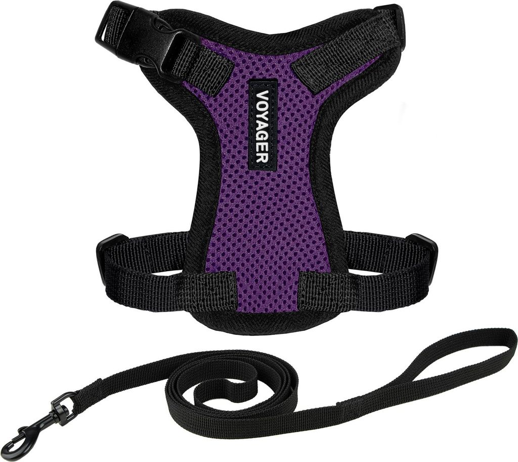 Voyager Step-in Lock Katzengeschirr und reflektierende Katzenleine mit Neoprengriff by Best Pet Supplies - Unterstützt kleine, mittelgroße und gr...
