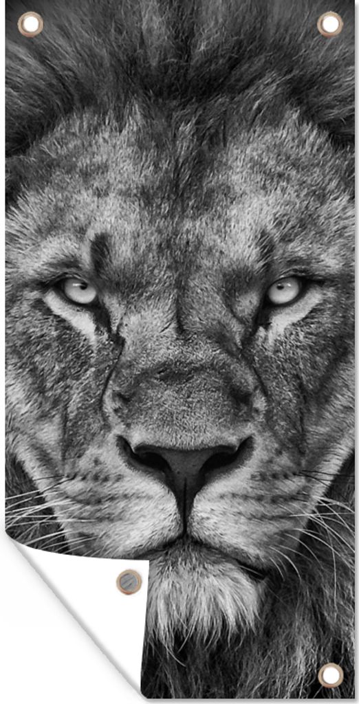 MuchoWow 30x60 cm Outdoor-Poster Gartendeko Sichtschutz Garten Poster für den Garten Tiere - Löwe - Schwarz - Weiß - Porträt