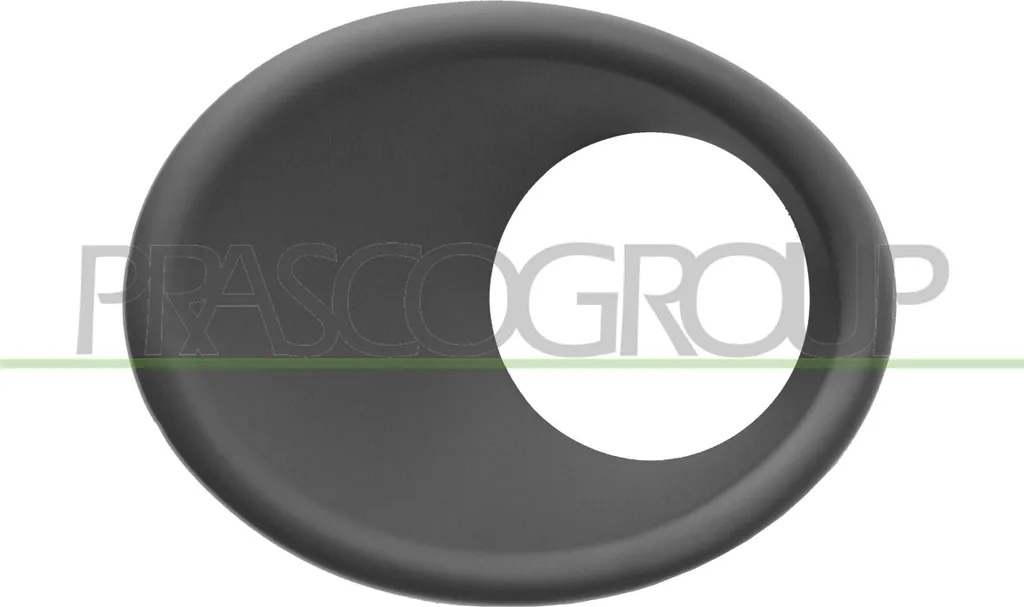 Offerta Cornice Fendinebbia Peugeot 206 Plus Sinistra - PRASCO PG0111242