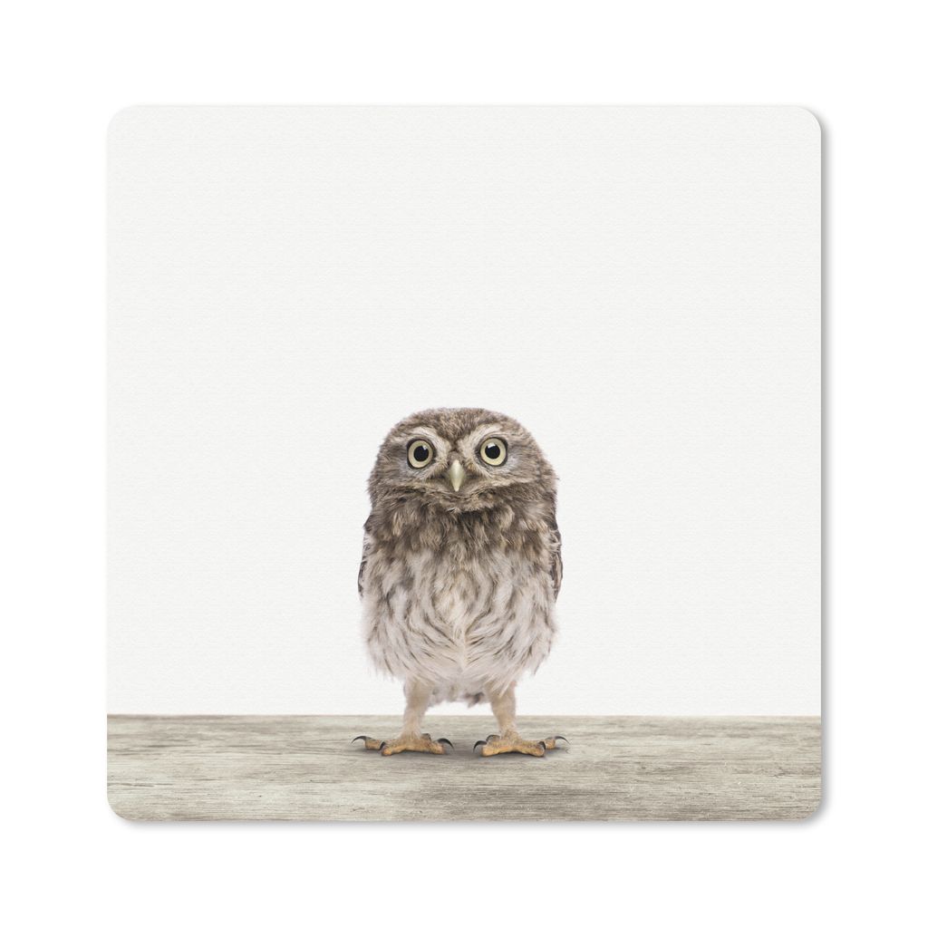 MuchoWow Mauspad Mousepad Tiere - Weiß - Eule 20x20 cm - Mousepads - Maus Mat - Pad - Mausunterlage - Desk Mat - Bureauartikeln